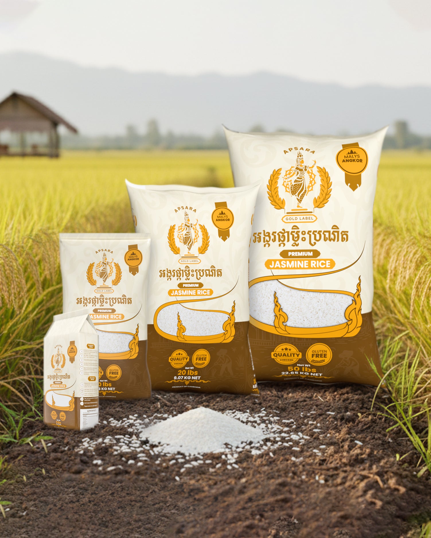 Malys Angkor — Cambodia's most celebrated jasmine rice. Freshly harvested, fragrant, and direct from Khmer farmers. Available in 5, 10, 20, and 50 lb bags.